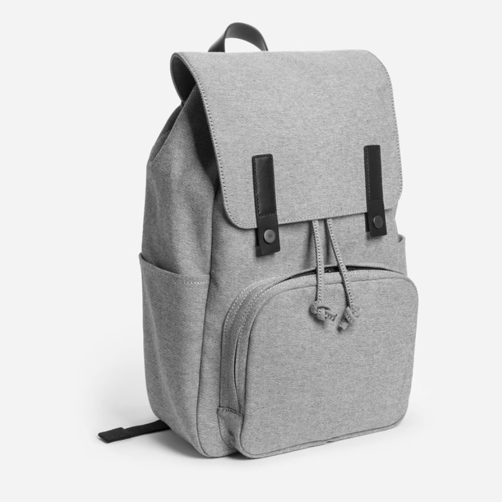 Everlane backpack